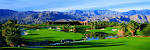 Book Tee Times at Desert Willow Golf Resort