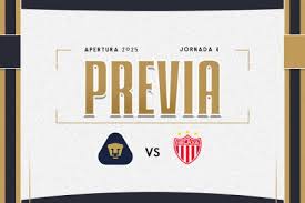 Pumas - News update