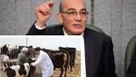 نائب يطالب باتخاذ إجراءات تقضى