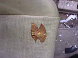 Image result for takata recall