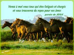 Résultat de recherche d'images pour "versets bibliques animees"