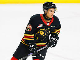 Dallas Stars Draft Cameron Schmidt: A Potential Steal?