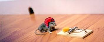 images?q=tbn:ANd9GcRo5Vi4zE2tnXqzko96-BzD7BGMoPqVw98h6wUp7v77n8J0CHEsEw