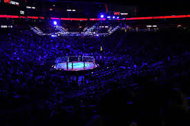 MMA Fighting - News update