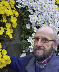 Hat viel mit Chrysanthemen zu tun: Ulrich Suchalla. Foto: <b>Michael Gilg</b> - 65170178