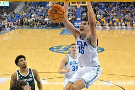 Michigan Basketball Predicted to Land UCLA Center Aday Mara Via Transfer Portal