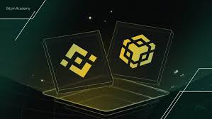 سیگنال خرید طلایی برای BNB! این اندیکاتور رشد قیمت را تأیید کرد!