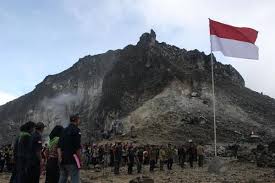 Hasil gambar untuk pecinta alam indonesia