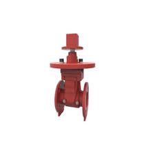 Fivalco 3288-LI-300-FLA Light Resilient Gate Valve Flanged ...