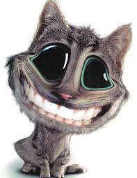 Résultats de recherche d'images pour « cheese sourire »