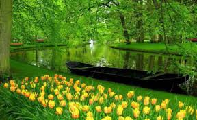 Image result for netherland