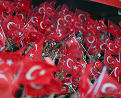 TFF - News update