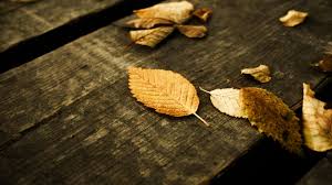 Image result for hd wallpapers
