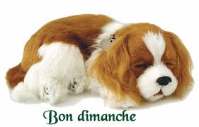 Résultat de recherche d'images pour "bon dimanche"