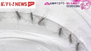 日テレNEWS NNN - News update