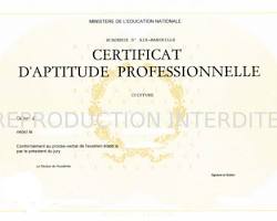 Image de Diplôme CAP esthétiquecosmétiqueparfumerie