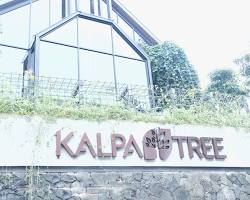 Gambar Kalpa Coffee Solo Bar Area