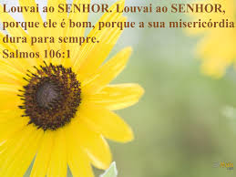 images?q=tbn:ANd9GcRopypVoQUVHbwehlSBs2L