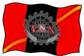 Resultado de imagen de bandera sindicato tns
