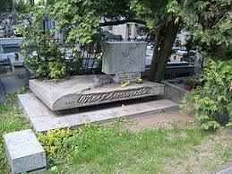 Image result for Maja berezowska