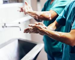 Image de transmission des germes par les nuisibles hôpital risques nosocomiaux professionnel