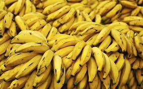 Resultado de imagem para banana