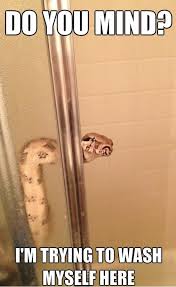 Image result for Im fine meme