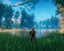 Image of Black Forest in Valheim game