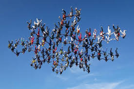 138 Skydivers, 1 snowflake = world record. | Funny Pictures ... via Relatably.com