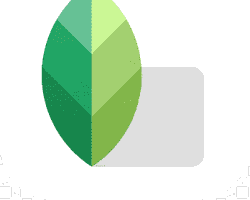 Image of Snapseed mobile app icon