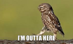 images?q=tbn:ANd9GcRp7jWVlBGOGlLb6MPeVVQ8S8B-bffmC-b-A4F1ekUvA2QCY6CN_Q