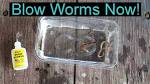 A very good way to harvest fishing worms. - Survivalist Forum