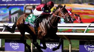 Forever Young Wins $7M Breeders' Cup Classic
