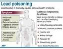 Lead poisoning effects