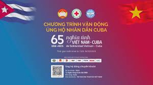 Đài Truyền hình TP.HCM - News update
