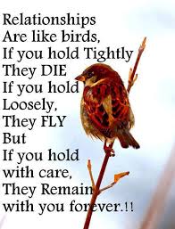Famous Quotes About Relationship Building. QuotesGram via Relatably.com