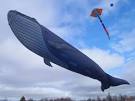 Great Canadian Kite Company - Canada s Favourite Kite Shop