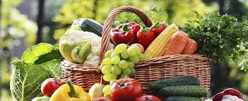 Image result for Nutrition