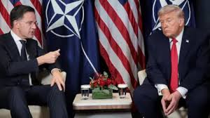 Trend Google: trump nato