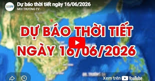 News source: moitruong.net.vn