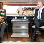 Mnangagwa land: don't think along
