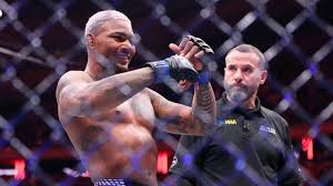 ufc 330 Picture