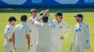 New Zealand Cricket Team Celebration