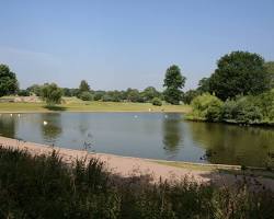 Image of Verulamium Park St Albans