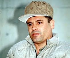 JOAQUIN GUZMAN jpeg - joaquin-guzman-174758