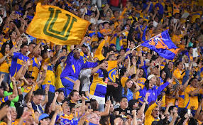 Previo al Tigres vs Cruz Azul, afición en el Estadio Universitario celebra el gol de Toluca vs Rayados