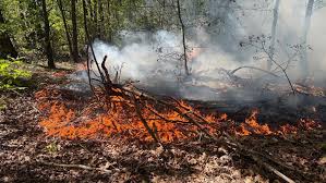 Felle bosbrand in Oosterhout langs de A27