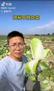 壱番屋