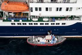Hantavirus Outbreak on Cruise Ship: What You Need to Know