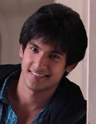Shivin Narang, who is currently essaying the character of Yuvraj in Channel V&#39;s popular show Suvreen Guggal – Topper of the Year spared time to answer our ... - 446_few